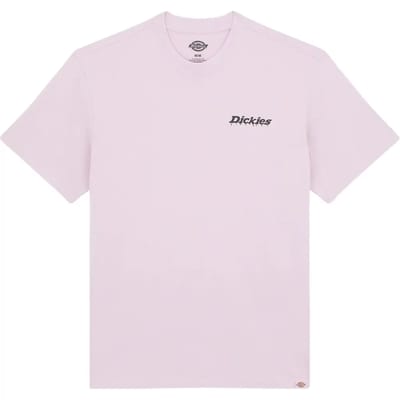 T-Shirt Dickies Statesville T-Shirt Ss - Fashion Wear - Volwassen