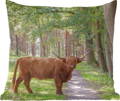 Sierkussens - Kussentjes Woonkamer - 60x60 cm - Bos - Schotse hooglander - Licht