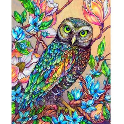 Diamant schilderij uil mozaïek DIY diamant borduurwerk vogel kruissteek dieren volledige boor decoratie 20X30CM blue