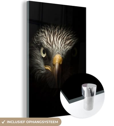 MuchoWow® Glasschilderij 120x180 cm - Schilderij acrylglas - Vogel - Adelaar - Roofvogels - Oog - Snavel - Licht - Foto op glas - Schilderijen