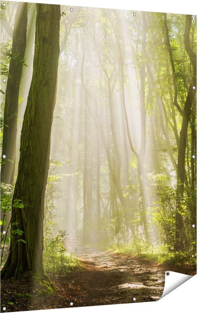 Gards Tuinposter Bos met Bomen en Zonneschijn - 120x160 cm - Tuindoek - Tuindecoratie - Wanddecoratie buiten - Tuinschilderij