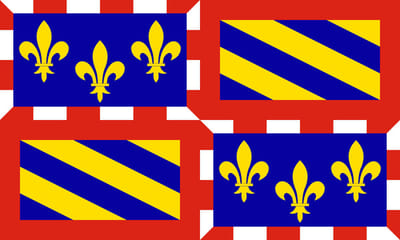 Vlag Bourgondië 100x150cm