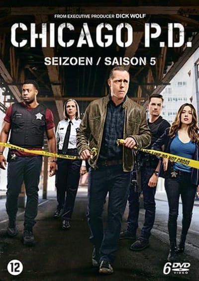 Chicago PD - Seizoen 5 (DVD)