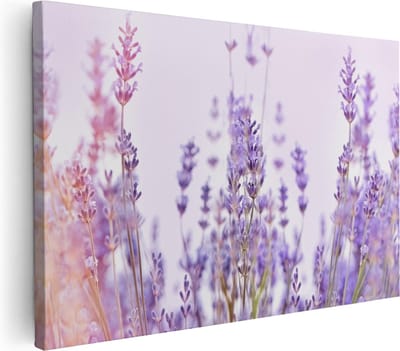 Artaza Canvas Schilderij Bloemen - 30x20 cm - Klein - Wanddecoratie Lavendelveld - Muurdecoratie Woonkamer - Kamer Accessoires