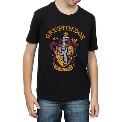 Harry Potter Jongens Gryffindor Katoenen T-Shirt (Zwart)