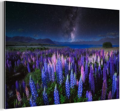 Aluminium schilderij 150x100 cm - Wanddecoratie metaal - Bloemen - Nacht - Lupine - Sterrenhemel - Paars - Natuur - Metalen muurdecoratie woonkamer - Decoratie industrieel - Foto op dibond - Industriële accessoires slaapkamer