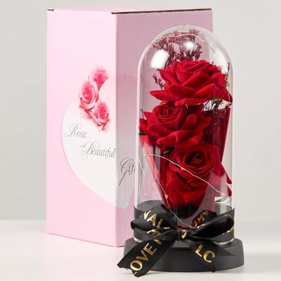 Rode Rozen Koepel - Eeuwige Bloemen - Sfeervolle Decoratie - Zachte LED Verlichting - 22x11x11 CM - Rood