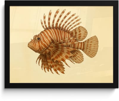 Poster in lijst - Fotolijst 40x30 cm - Posters - Strepen - Vis - Rond - Stekels - Posterlijst zwart - Decoratie - Wanddecoratie woonkamer - Muurdecoratie slaapkamer