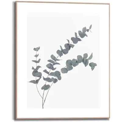 Schilderij Eucalyptus - 50 x 40 - Hout - REINDERS