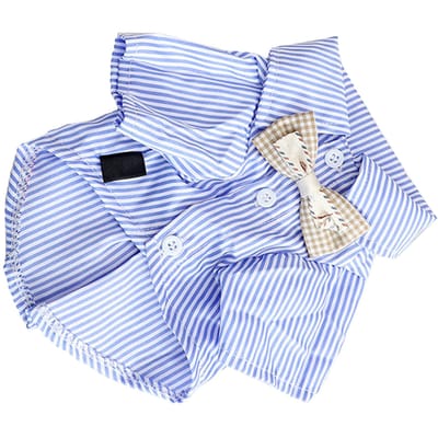 Gestreept Hondenshirt Ademend Casual Korte Mouw Puppy Kleding met Strik voor Teddy Pomeranian voor Lente Herfst Blauw M M Size: 44 X 44 X 34cm / 17.32 X 17.32 X 13.39in blauw