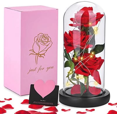 Roos in Glas met Ledlicht - Romantische Cadeaus voor Valentijnsdag, Moederdag, Trouwdag, Jubileum