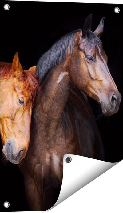 Gards Tuinposter Twee Bruine Paarden Koppel - Liefde - 40x60 cm - Tuindoek - Tuindecoratie - Wanddecoratie buiten - Tuinschilderij