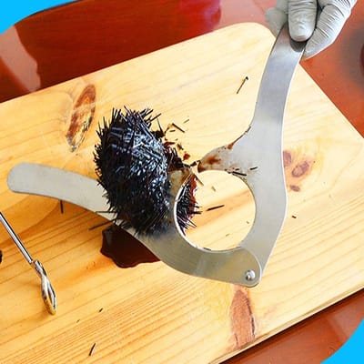 Sea Urchin Cutter - Handige Opener voor Zeewier en Zee-egels