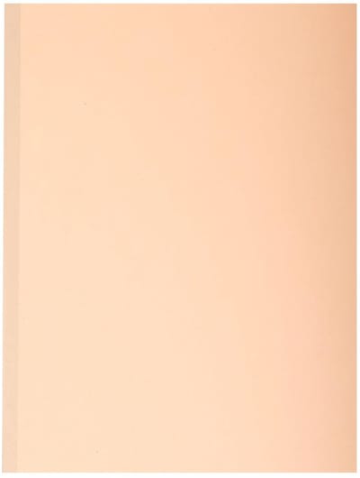 Exacompta 25x FOREVER® 320 g/m2 - Pak van 10 dossiermappen met linnen rug - A4 - Geassorteerd - 771000E
