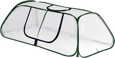 Kleine Kas - Mini Broeikas - Planten Beschermen - Winddicht en Waterdicht - 115 x 55 x 45 cm - Groen