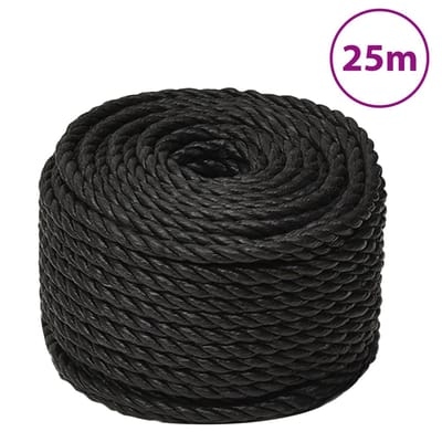 vidaXL - Werktouw - 10 - mm - 25 - m - polypropeen - zwart