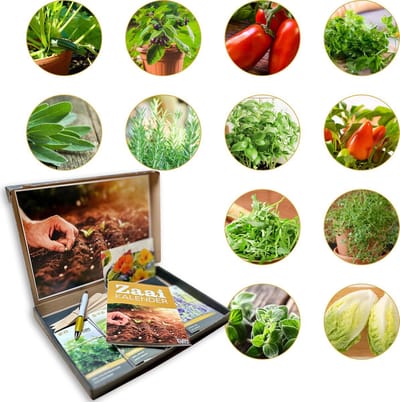Organic BIO zadenpakket - 12 onmisbare biologische kruiden- en groentezaden voor in je (moes)tuin - Tomaat, Wortel, Radijs, Bieslook en meer - SKAL gecertificeerd - met uitgebreide instructie