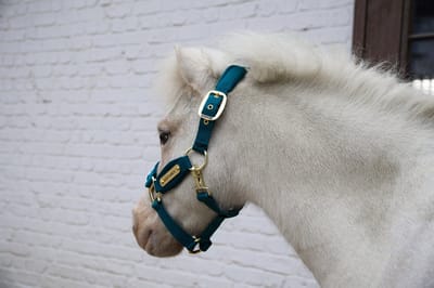 Kentucky Horsewear - Velvet halster smaragd shetland pony