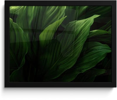 Poster in lijst - Fotolijst 40x30 cm - Posters - Bladeren - Schaduw - Groen - Textuur - Posterlijst zwart - Decoratie - Wanddecoratie woonkamer - Muurdecoratie slaapkamer