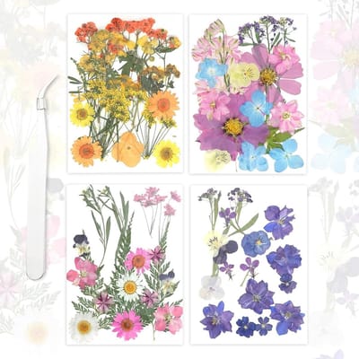Inovra Plus - Bulk gedroogde bloemen set voor harsvormen en creatieve projecten - 71 stuks echte gedroogde bloemen - kruidenset met pincet - geschikt voor kaarsen, scrapbooking en doe-het-zelf sieradencreatie