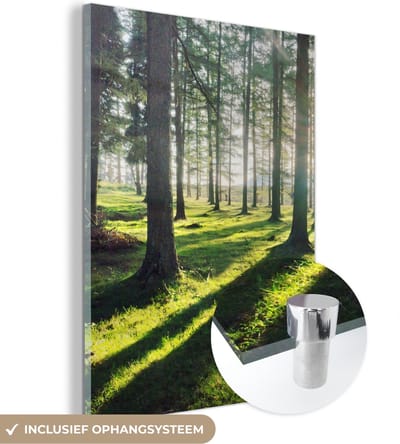 MuchoWow® Glasschilderij 30x40 cm - Schilderij acrylglas - Bomen - Natuur - Bos - Foto op glas - Schilderijen