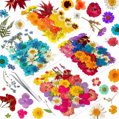 Gedroogde Geperste Bloemen Set voor DIY Sieraden Maken en Scrapbook Art