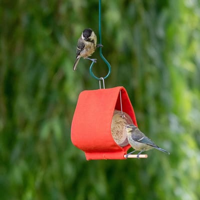 CJ Wildlife Pindakaaspothouder voor Vogels - Malibu - Vogelpindakaas Houder - Hangend Vogelvoederhuisje Pindakaas - Katoen - Oranje