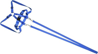 Kinderharnasje - Leidkoord kinderen - Veilig op pad - Anti-verlies ontwerp - 200 cm lengte - Blauw