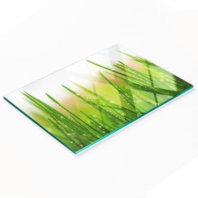 Decoratieve glazen snij- en serveerplank voor in de keuken, grasmotief, 80x52 cm