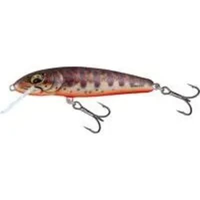 Lok Salmo Minnow