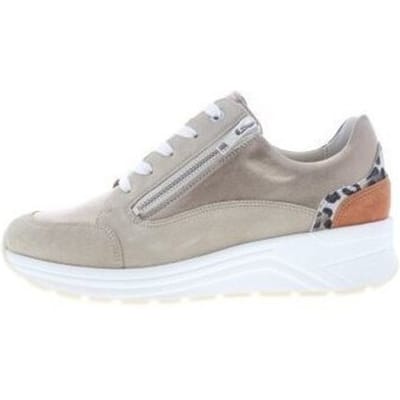 Lage Sneakers Solidus Holly