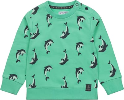 Dirkje-Jongens Sweater ls-Licht groen