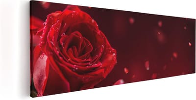 Artaza Canvas Schilderij Rozen - 60x20 cm - Wanddecoratie Bloemen Woonkamer - Muurdecoratie Bloem - Kamer Accessoires Rood