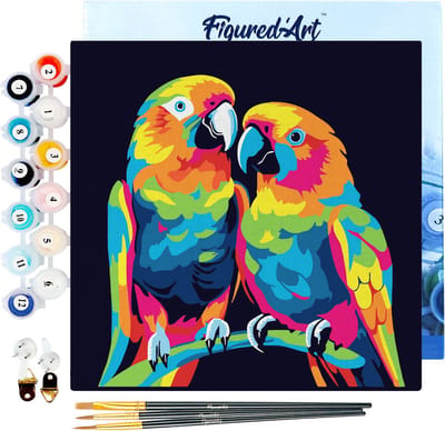 Figured'Art Mini Schilderen op Nummer Volwassenen 20x20cm met lijst Papegaaien Abstracte Pop-Art - Klein Formaat Creatieve Hobby Kit DIY Art Nummer Compleet