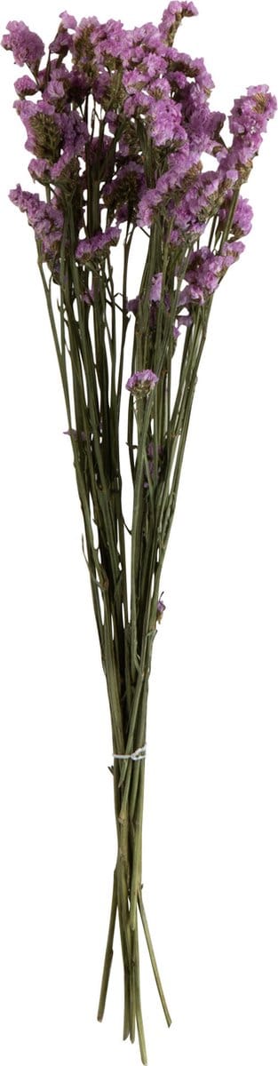 J-Line droogbloemen - Bundel 'Vergeet Mij Nietje' - riet - paars