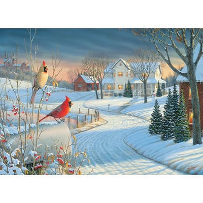 5D DIY diamant schilderij vogels in de sneeuw borduurwerk mozaïek kruissteek strass decoratie 20X30CM gray