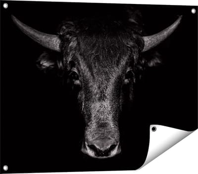 Gards Tuinposter Stierenkop - Stier - Zwart Wit - 80x60 cm - Tuindoek - Tuindecoratie - Wanddecoratie buiten - Tuinschilderij
