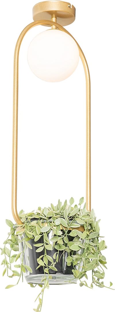 QAZQA isabella - Art Deco Plafondlamp - 1 lichts - L 25 cm - Goud/messing - Woonkamer | Slaapkamer | Keuken