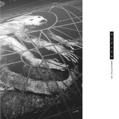 Doolittle 25 - Pixies