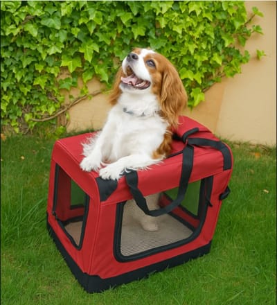 Mobiclinic Balú - Reismand voor huisdieren - Hondenrugzak (reistas kat, katten, honden, konijnen, fretten) - Maat M - Reistas - Met Handvaten - Ademend - Opvouwbaar - 57x38x44 cm - Ondersteunt 10 kg - Reistas