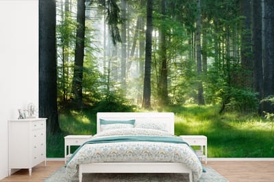 Behang - Fotobehang Natuur - Bomen - Bos - Groen - Zon - Gras - Planten - Breedte 360 cm x hoogte 240 cm