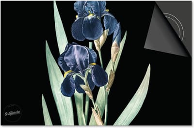 Inductie beschermer 60x60 - afdekplaat inductie mat - Dietrix Kookplaat beschermer - Exclusief - Botanical - Viool blauw op zwart