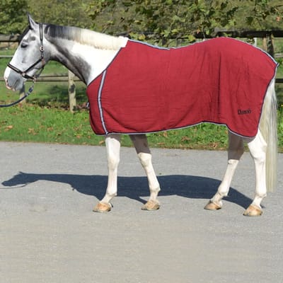 Terrycloth Paarden Shirt Daslö