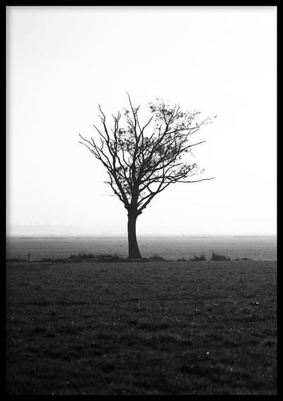 Poster Boom en Mist - 50x70cm - Poster Zwart-wit