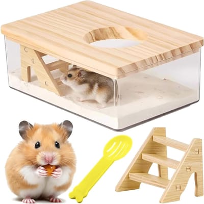 Transparante Sandbad Container voor Hamsters met Ladder en Schep, Ideaal voor Dwerghamsters en Lemmingen, Hamster Toilet Accessoire