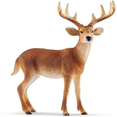 schleich WILD LIFE - Witstaarthert - Speelfiguur - Kinderspeelgoed voor Jongens en Meisjes - 3 tot 8 jaar - 14818