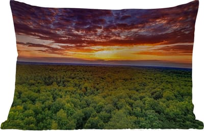 Buitenkussens - Tuin - Bos - Nacht - Lucht - Horizon - Bomen - 50x30 cm