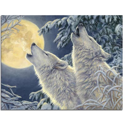 Volledige ronde DIY Diamond schilderij wolven 5D diamant borduurwerk kruissteek dieren schilderij 20X30CM gray
