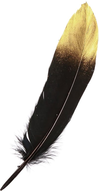 Decoratieve veren zwart goud echte ganzenveren 15-20cm 50st, 50 Stück