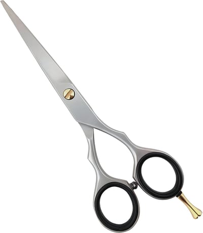 Guardian Beauty Schaar - 6,5 Inch - Roestvrij Staal - Knipschaar met Etui - Kappersgereedschap